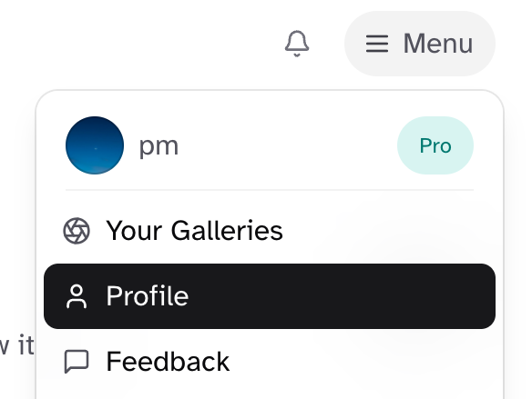 Profile Menu